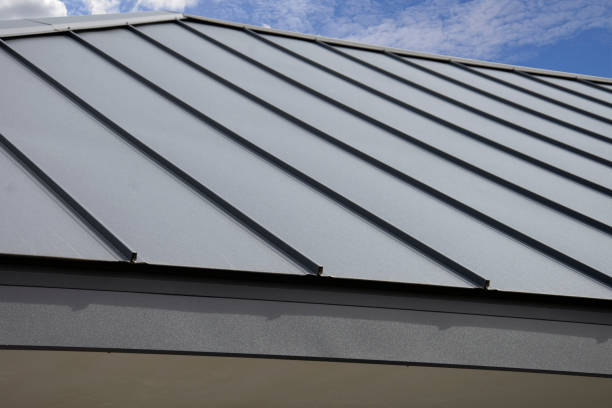 Best Asphalt Shingle Roofing  in Elko New Market, MN